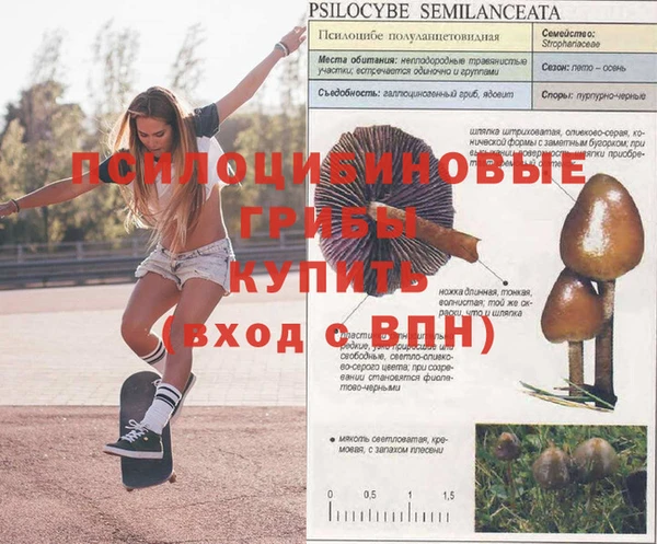 мефедрон Корсаков