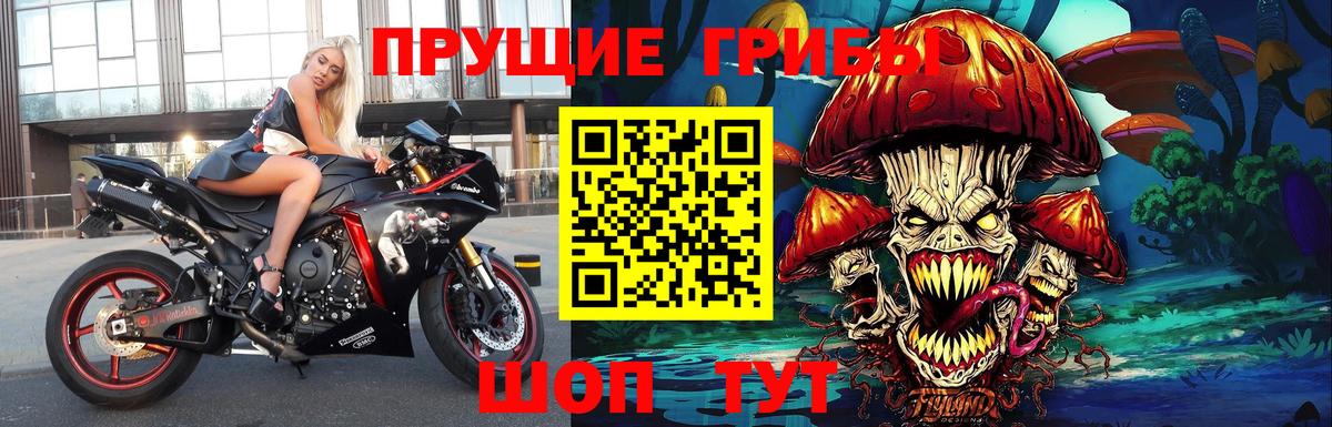 Павловский Посад  Галлюциногенные грибы прущие грибы  Вход с VPN 